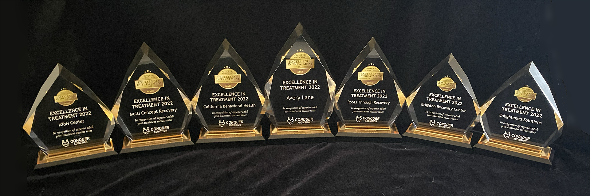 Excellence in Treatment Awards