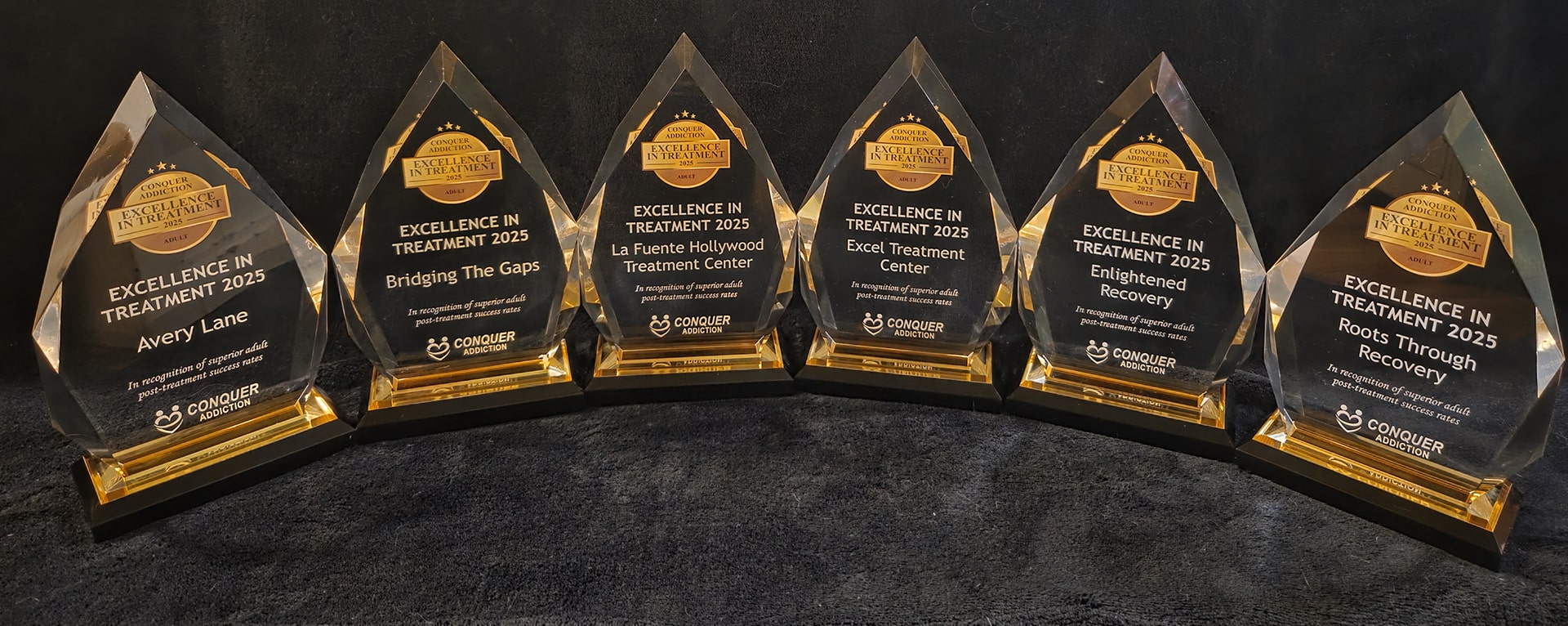 Excellence in Treatment Awards