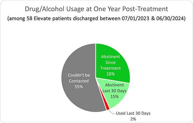 Elevate Drug/Alcohol Usage at One Year Post-Treatment