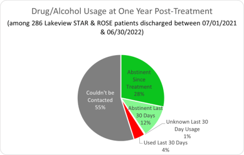 Lakeview Health Drug/Alcohol Usage at One Year Post-Treatment