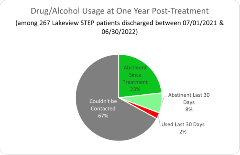 Stepping Stone Drug/Alcohol Usage at One Year Post-Treatment
